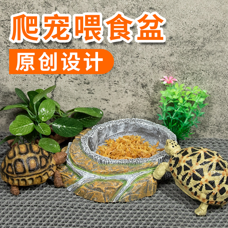 爬宠巴西龟宠物蛇角蛙蜥蜴守宫小乌龟饲养水盆爬虫食盘造景龟用品