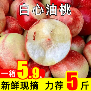 新鲜白心油桃现摘脆桃甜蜜桃子应季水果大果批发9斤整箱云南鲜果