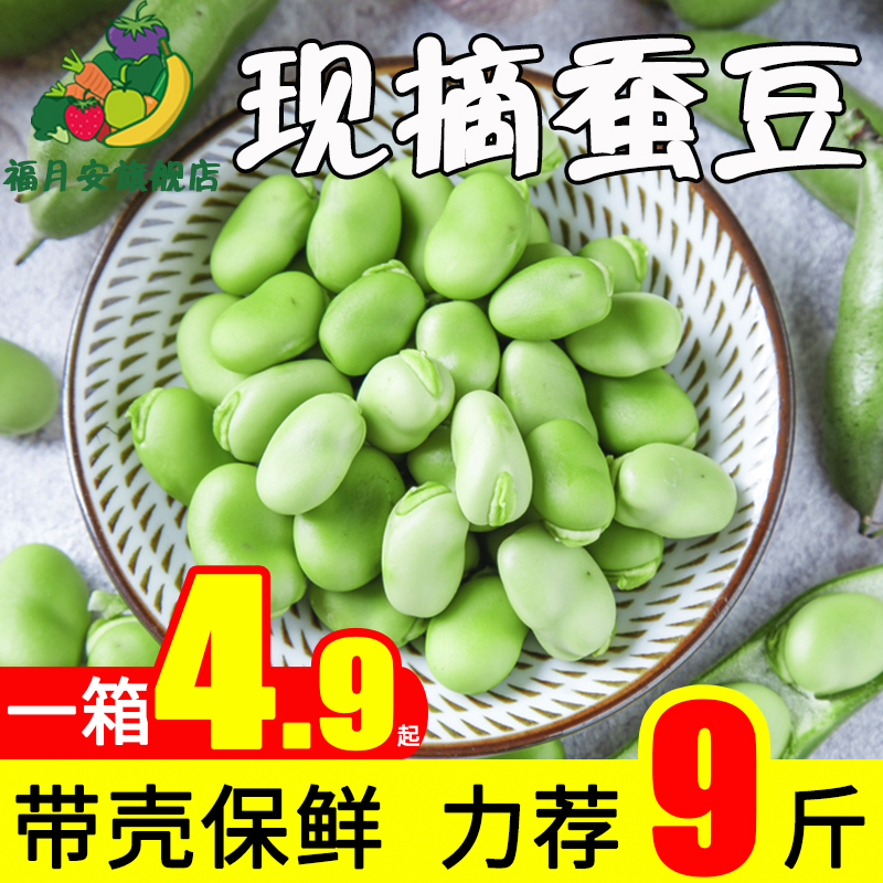 新鲜带壳嫩蚕豆5斤9现摘生胡豆夹青罗汉豆兰花豆蔬菜新鲜农家食品在类目 水产肉类/新鲜蔬果/熟食, 新鲜蔬菜/蔬菜制品, 新鲜蔬菜, 其它中 - 来自Buy2taobao.com提供专业的淘宝代购服务
