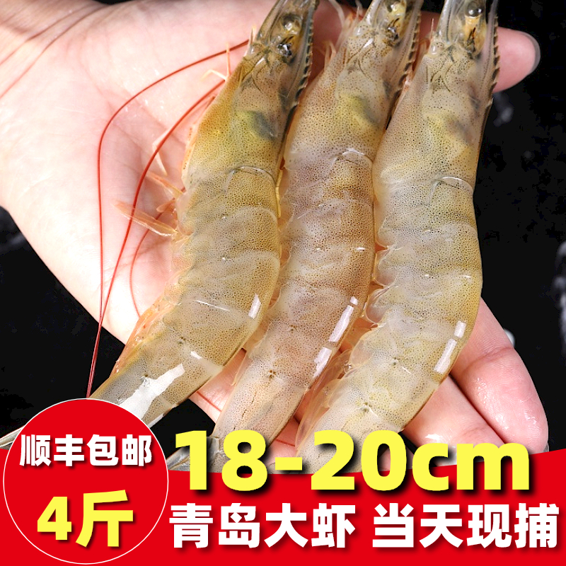 青岛盐冻大虾鲜活新鲜超大海捕盐田大虾南美特大对虾海鲜冷冻整箱