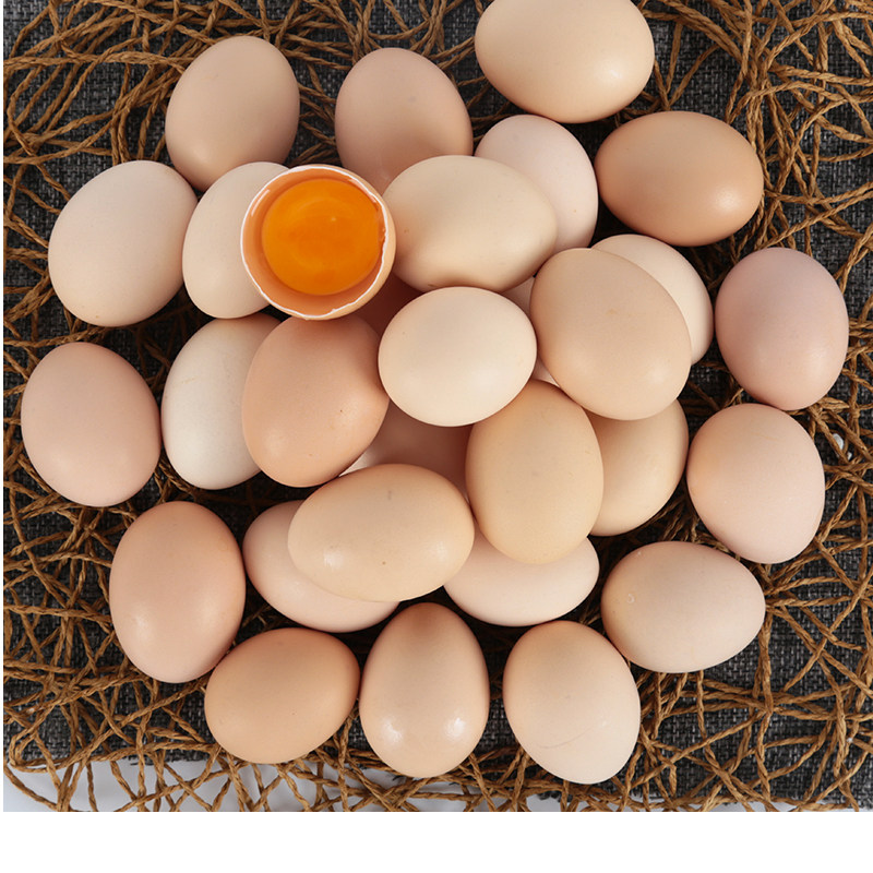 30枚小个鸡蛋新鲜初生蛋正宗