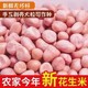 2024年现剥新花生米生新货粉皮新鲜花生米不带壳榨白沙花生仁