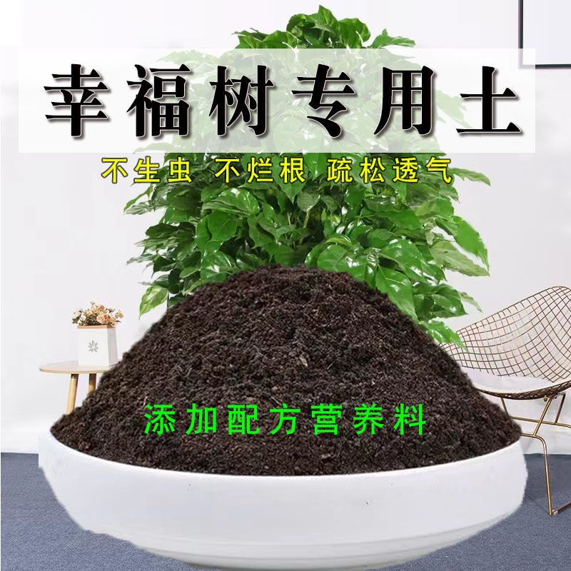 幸福树专用土有机花土种花大绿植营养土壤养花通用种植土透气疏松