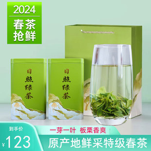 日照绿茶2024年新茶特级春茶新采一芽一叶板栗浓香豆香礼盒装正品