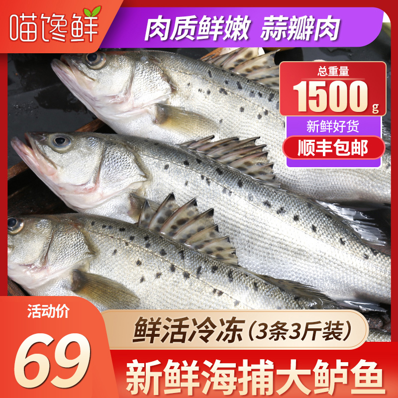 3斤青島海鲈魚新鮮冷凍鮮活海鮮水産七星海捕鲈魚深海魚順豐包郵在類目 水產肉類/新鮮蔬果/熟食, 海鮮/水產品/製品, 淡水魚類中 - 來自Buy2taobao.com提供專業的淘寶代購服務
