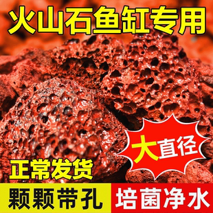 天然火山石颗粒红火山岩兰花石底砂养花专用多肉营养土植料铺面石