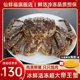 超大帝王蟹鲜活冷冻螃蟹冰鲜海鲜水产阿拉斯加皇帝蟹5-10斤1只装