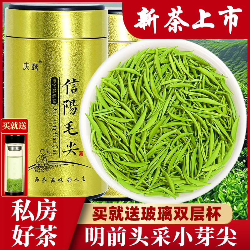 庆露信阳毛尖2024新茶明前茶特级