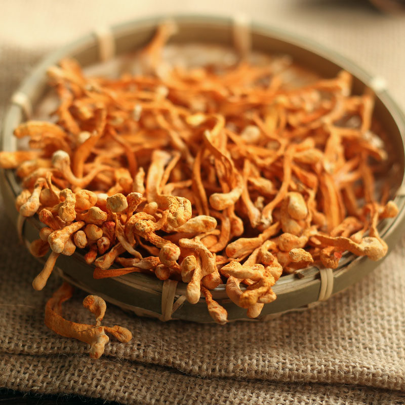 汤膳师虫草花250g新会蛹虫草干货