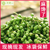 2021新鮮青花椒350g袋四川重慶特産真空保鮮花椒生麻椒藤椒鮮花椒 2021新鮮青花椒350g袋四川重慶特産真空保鮮花椒生麻椒藤椒鮮花椒