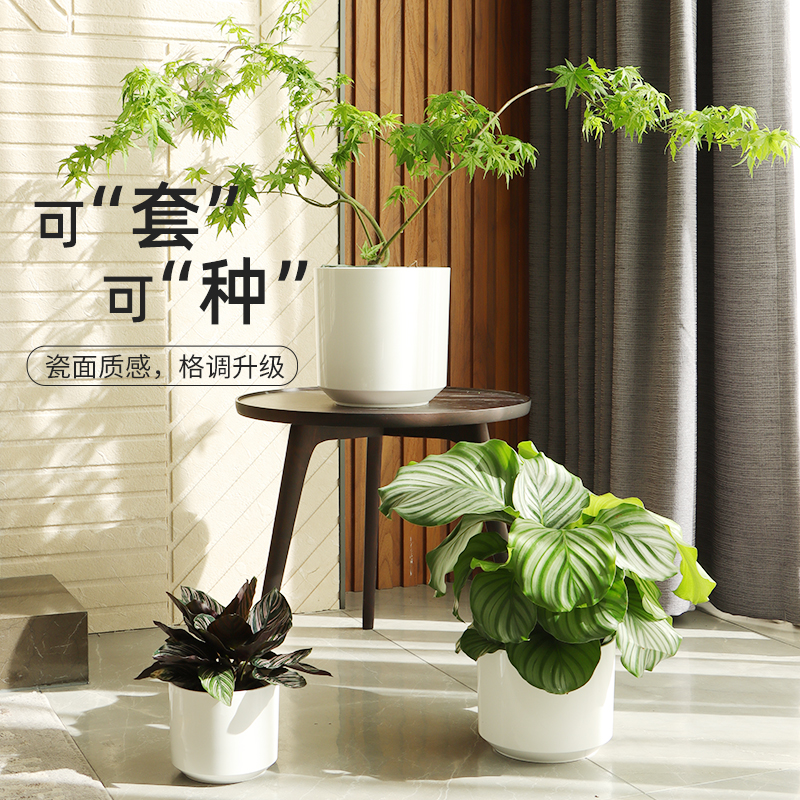 塑料花盆绿萝兰花盆栽套盆大口径加厚