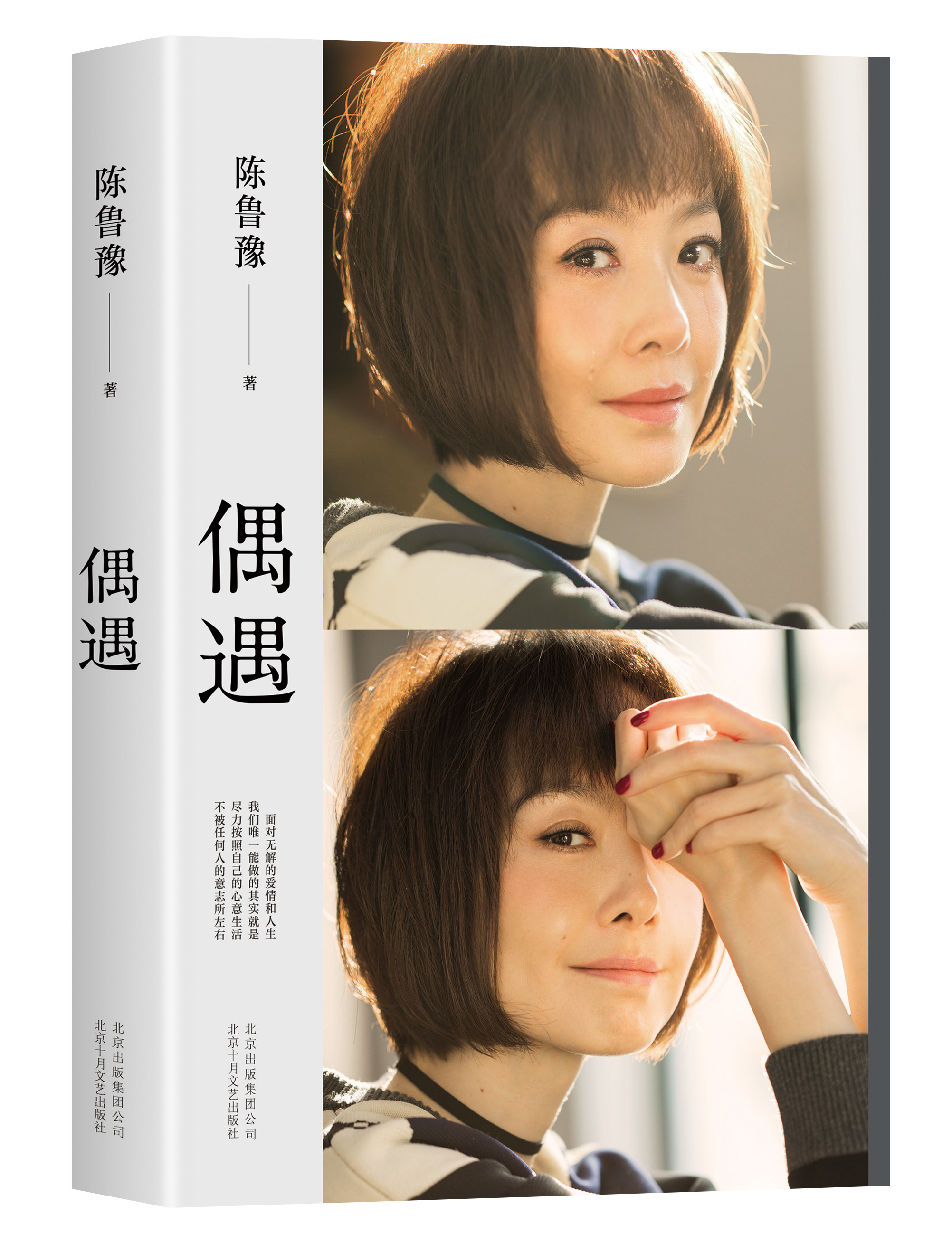 【新华书店旗舰店官网】正版包邮 偶遇 陈鲁豫著 继心相约后时隔15年