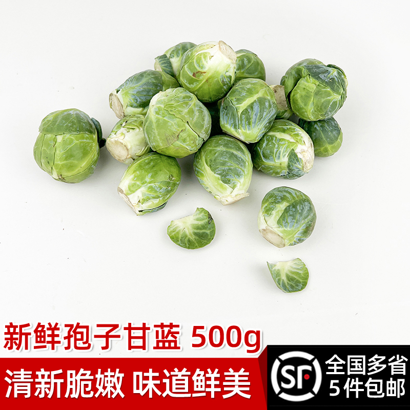 绿食者 孢子甘蓝500g 新鲜沙拉食材抱子甘蓝 迷你小包菜小卷心菜