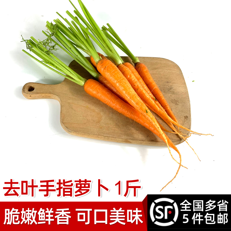 去叶手指胡萝卜500g 新鲜蔬菜迷你水果小胡萝卜 沙拉食材 5件包邮