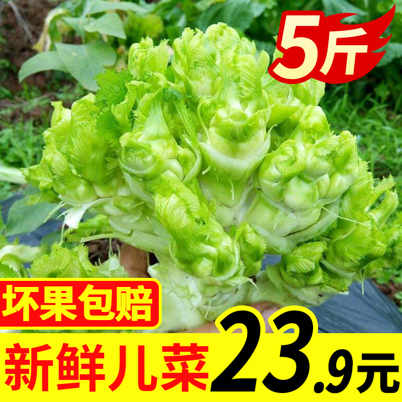Sichuan Province Children dish Fresh vegetables Pickled Baby food Children dish Farm raw material Mother and son Kimchiin the Aquatic meat/Fresh fruits and vegetables/Cooked , Fresh vegetables/Vegetable products , Jingcai category - from Buy2taobao.com to provide professional Taobao agent buy service