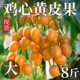 正宗广东鸡心黄皮果新鲜孕妇水果现摘黄弹子酸甜整箱8斤顺丰包邮