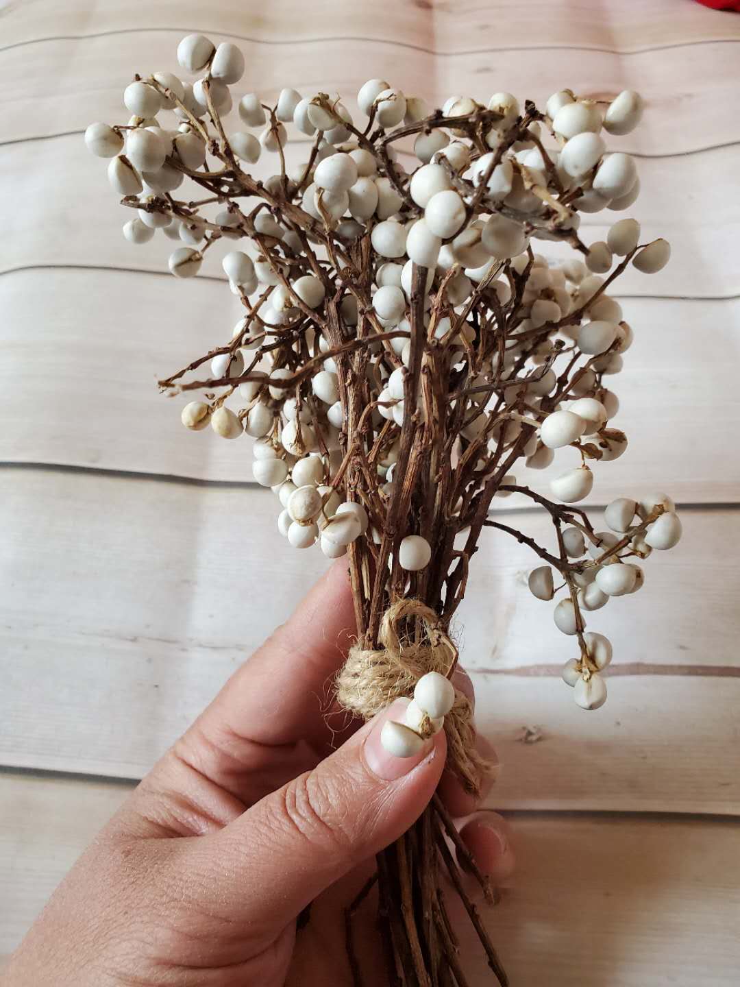 包邮天然小白果干花diy手作花环搭配花材北欧风小清新装饰干树