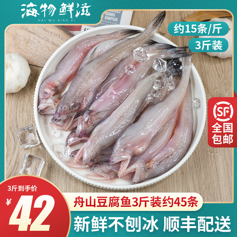 舟山豆腐鱼鲜活冷冻龙头鱼新鲜九肚鱼丝丁鱼水潺海鲜水产3斤