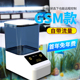 依华莱斯智能远程自带流量卡室内鱼缸5G网络适用GSM款自动喂鱼器