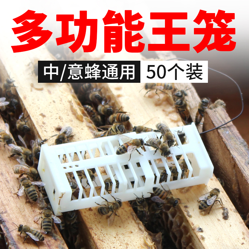 蜂王笼多功能关王蜜蜂工具捕蜂烟斗捕王器养蜂大全中蜂专用囚王笼