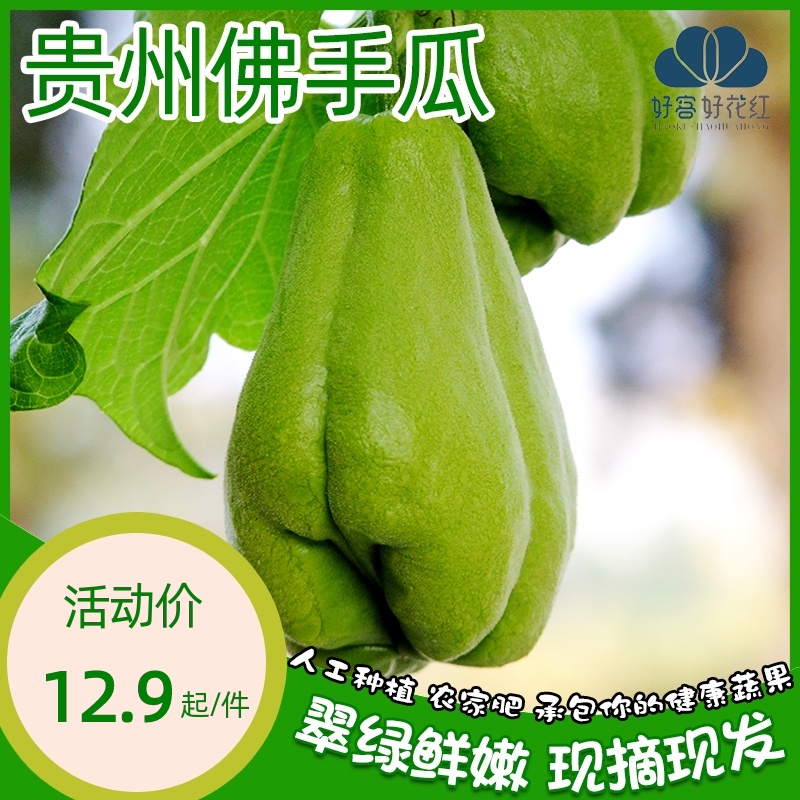 贵州特产新鲜佛手瓜农家自种当季蔬菜扶手瓜新鲜洋瓜食用捧瓜5斤在类目 水产肉类/新鲜蔬果/熟食, 新鲜蔬菜/蔬菜制品, 新鲜蔬菜, 佛手瓜中 - 来自Buy2taobao.com提供专业的淘宝代购服务