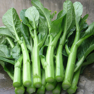 把choy 菜心 仅布里斯班指定区域 each 澳洲发货 sum