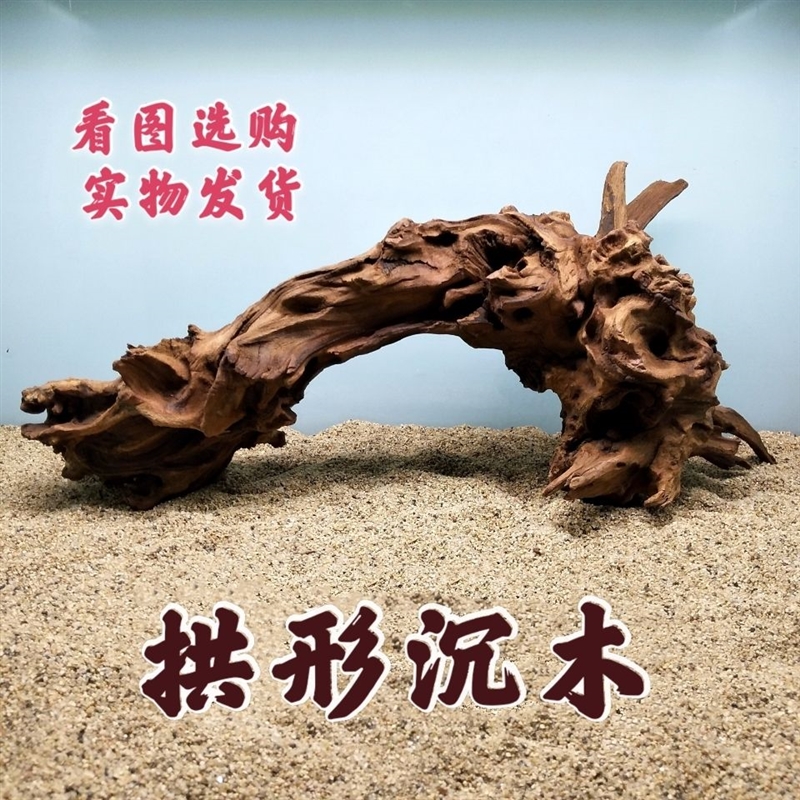 沉木树桩树根紫柚木一木成景沉木龟用