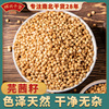 辉兴香菜籽100克香籽芫荽子粉芫茜孑种子香料食用调味料天然调料 辉兴香菜籽100克香籽芫荽子粉芫茜孑种子香料食用调味料天然调料