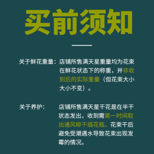 云南基地直发满天星鲜花大束2斤散装论斤卖干花花束客厅摆设