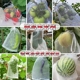 水果套袋防虫防鸟尼龙专用网袋葡萄桃子石榴草莓无花果通用网纱袋