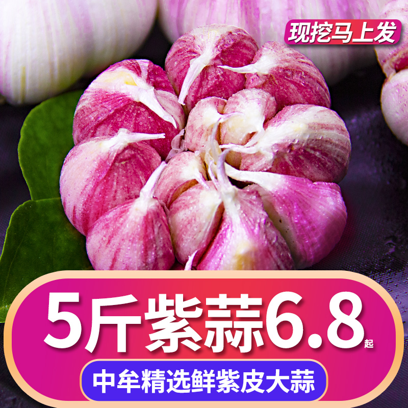 2021新鲜紫皮大蒜头干蒜5斤多瓣蒜河南中牟农家蒜籽白皮红皮大蒜在类目 水产肉类/新鲜蔬果/熟食, 新鲜蔬菜/蔬菜制品, 大蒜中 - 来自Buy2taobao.com提供专业的淘宝代购服务