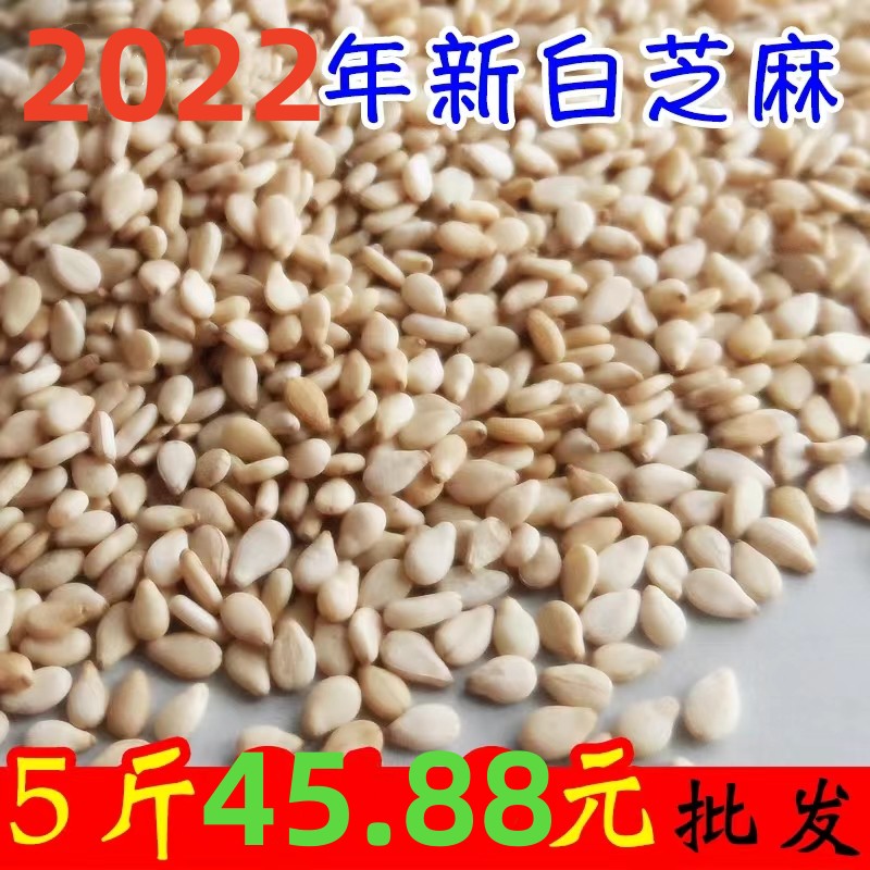 2022年新带皮白芝麻生芝麻2500g黑白芝仁麻五谷杂粮新鲜食用