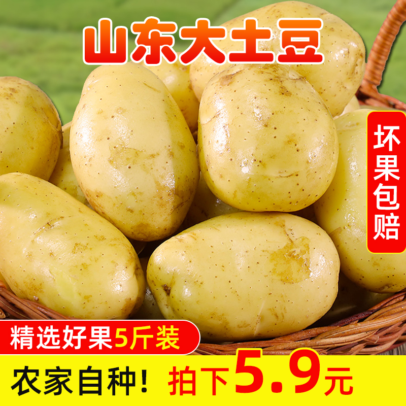 山东现挖新鲜黄皮5斤马铃薯土豆