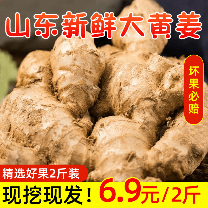 山东新鲜泥2斤当季农家自种黄姜