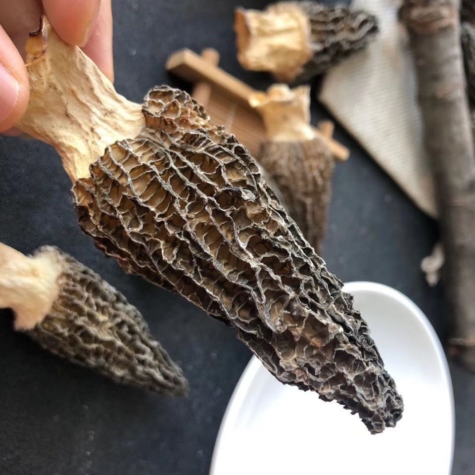 云南野生羊肚菌干货特大新鲜野生菌特产级羊肚菇香菇营养煲汤食材