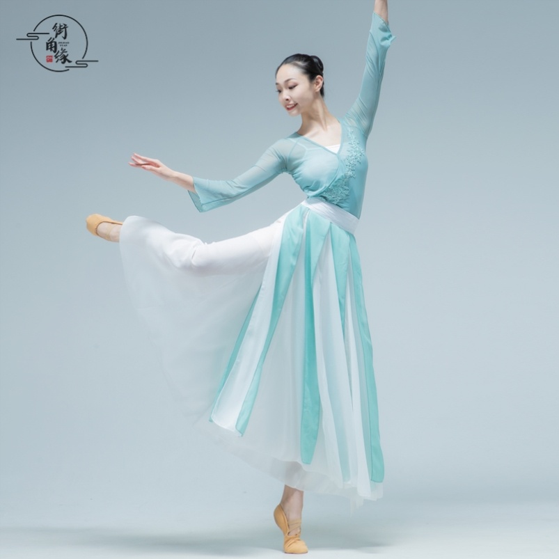 燕无歇舞蹈服古典舞蹈练功服女身韵飘逸纱衣古风民族演出服现代舞