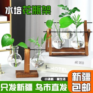 新疆包邮透明简约创意水培植物玻璃花瓶绿萝办公室桌面绿植摆件