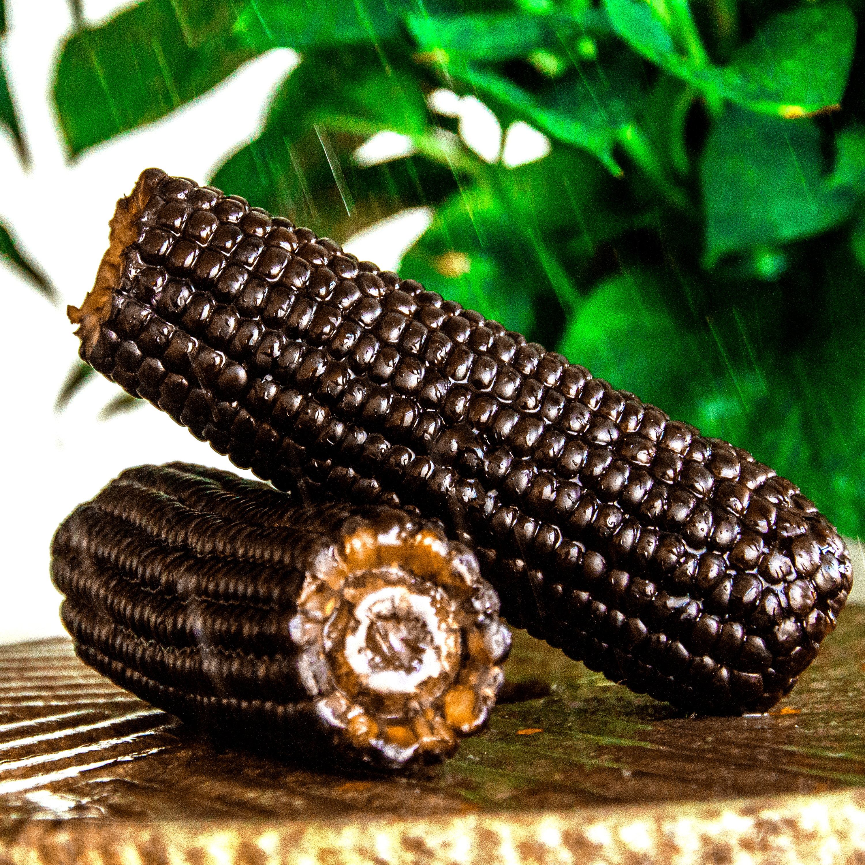 【10支装】东北黑糯玉米真空包装