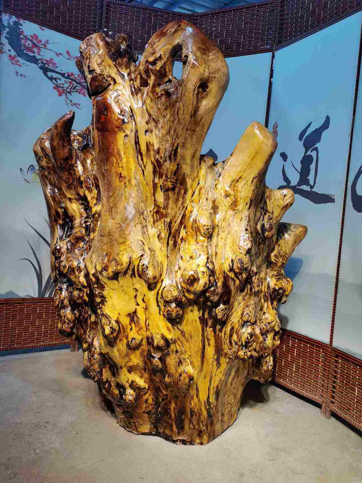 天然根雕茶台树根整体原木头茶桌原木小型阳台树桩茶几香樟鸡翅木