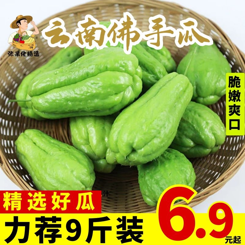 云南9斤新鲜现摘爽口包邮5佛手瓜
