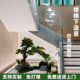 仿真松树迎客松仿真造景楼梯下造景美人松中式景观植物仿真树假树