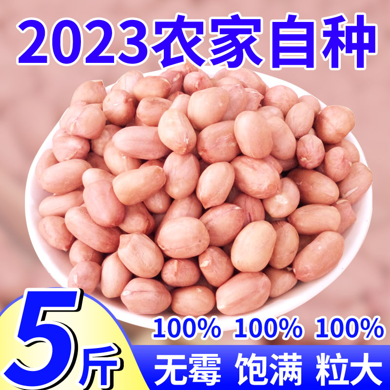 2023年红皮白皮去壳生花生米晒干有壳5斤装本地紫皮新货特级大粒