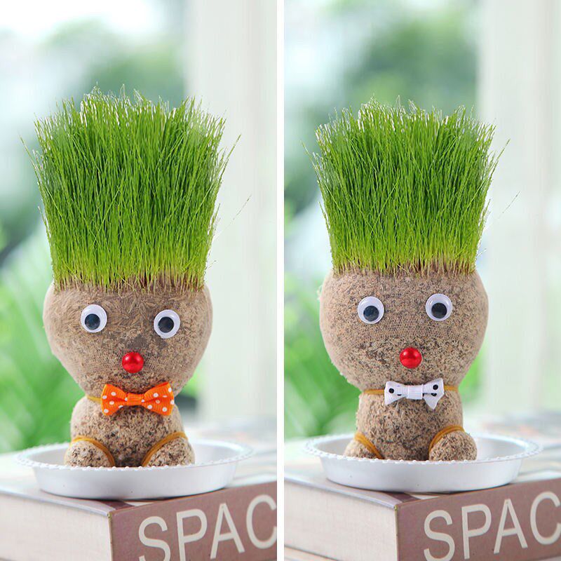 抖音香草长草娃娃可爱迷你小草人植物绿植水培迷你盆栽创意小植物