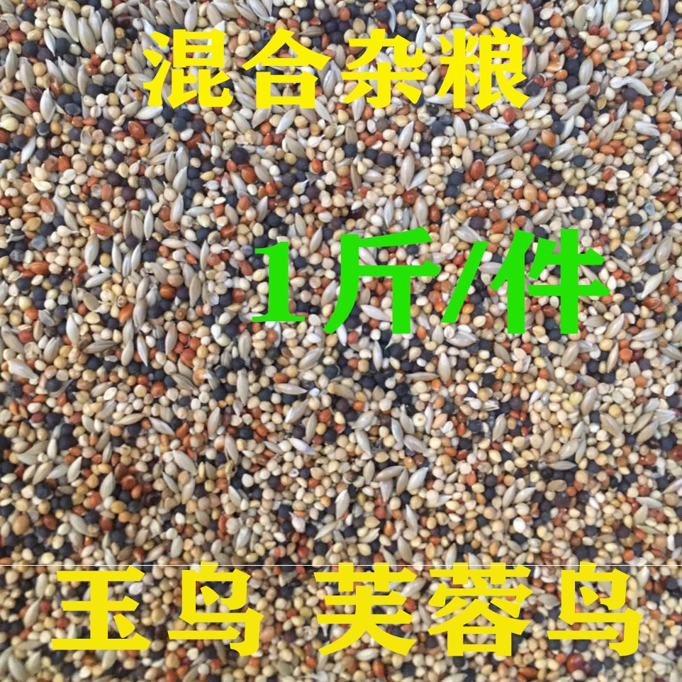 鸟食金鸟青灰燕鸟黄雀500g金丝雀粮鸟饲料金翅鸟食