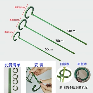 植物支撑杆朱顶红绣球蝴蝶兰固定架爬藤花卉防倒伏包塑铁艺花架子