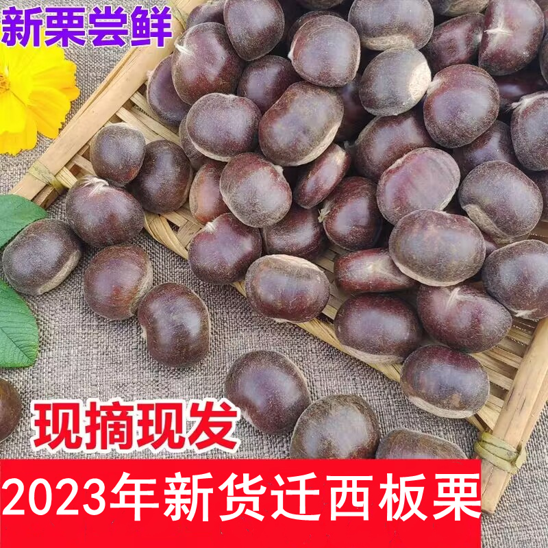 2023年新货迁西新鲜板栗生新鲜野