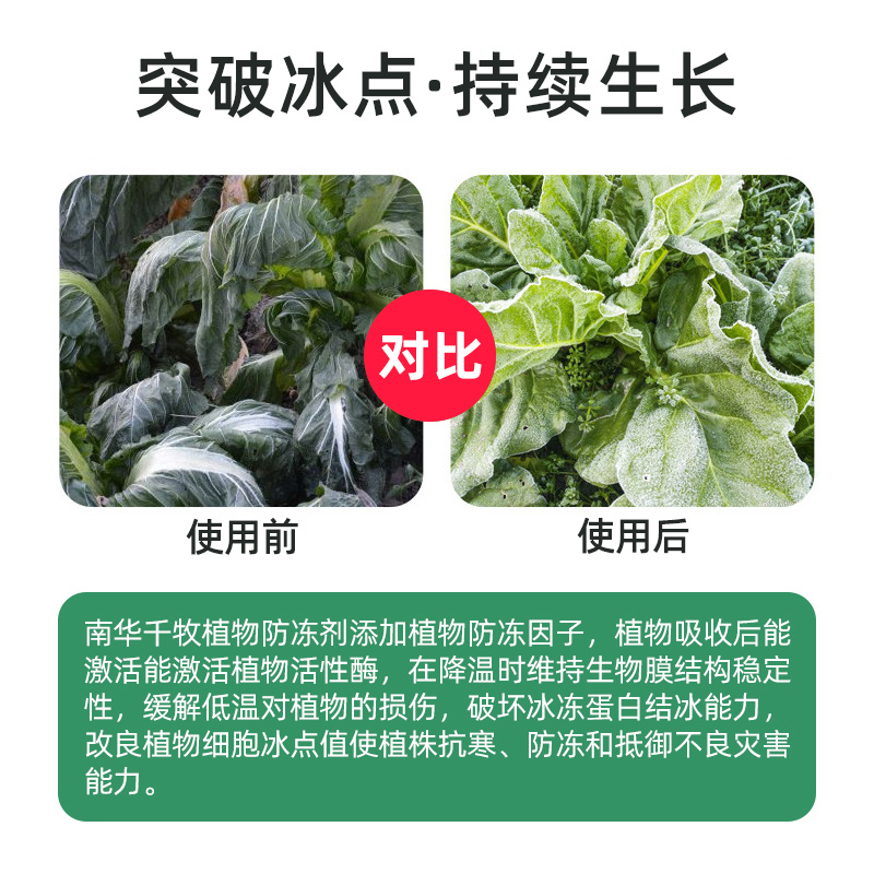 木瓜增产防冻液抗冻剂果树蔬菜苗木防寒安全过冬防冻液木瓜防冻剂