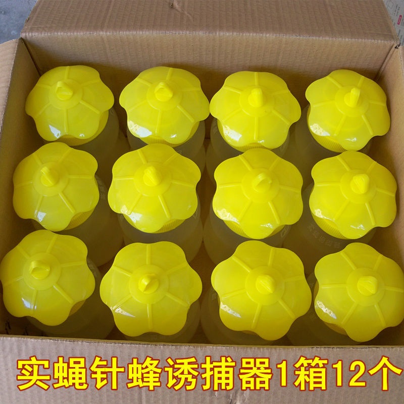果蝇诱捕b器果园菜地瓜棚瓜果实蝇防治针蜂引诱剂捕捉器果蝇诱捕