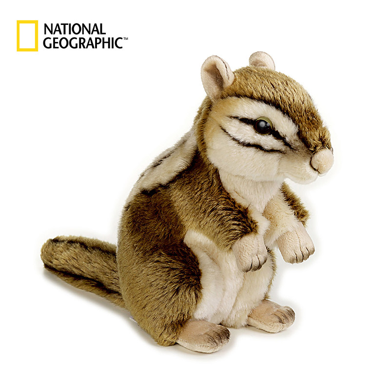 国家地理花栗鼠毛绒玩具礼物周边可爱公仔玩偶睡觉抱枕钥匙扣