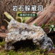 爬宠仿真岩石造景躲避守宫蜥蜴宠物蛇洞穴躲避沙漠宠物躲避屋装饰
